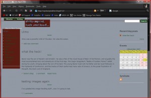 Drupal Trooper Theme