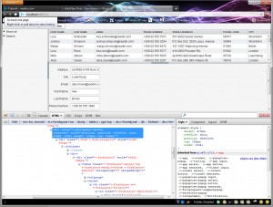 vaadin-6