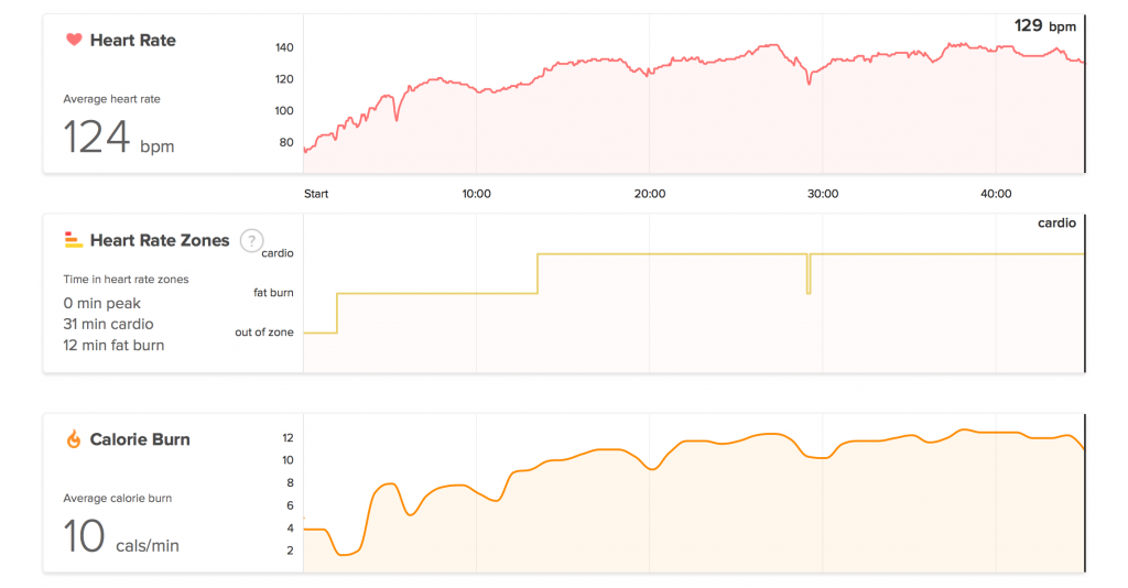 Fitbit Surge HR Web Data Analysis