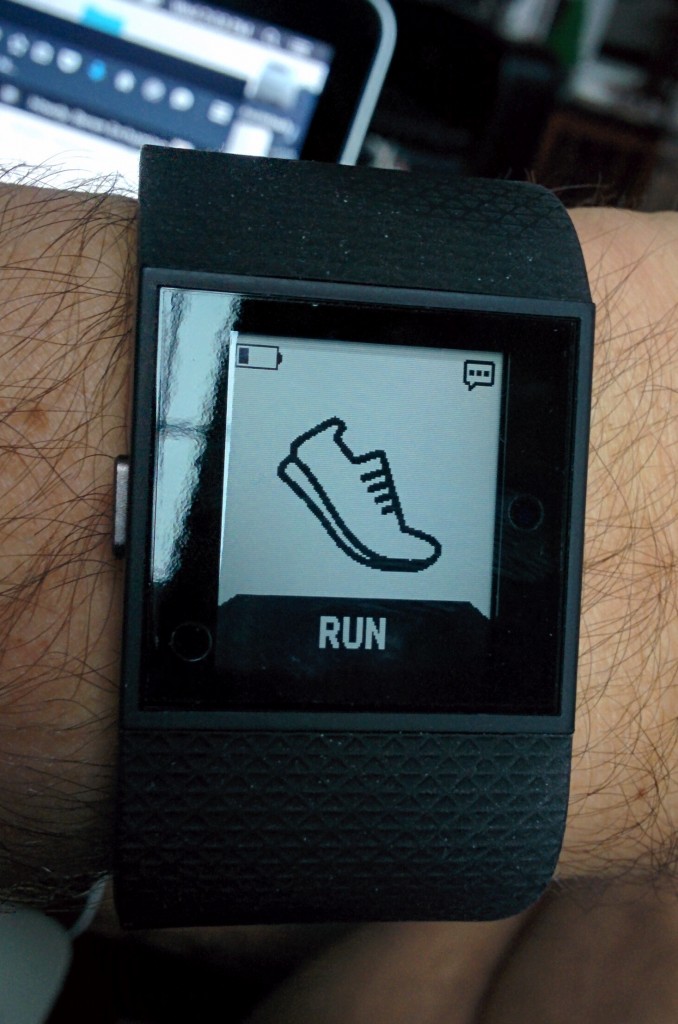 Fitbit Surge HR Screen