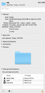 Wordpress Permissions