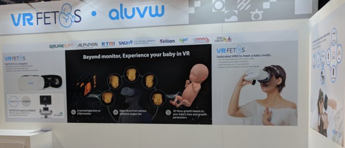 VRFetus