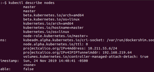 kubectl describe nodes