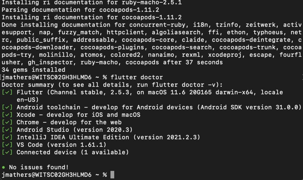 Flutter Doctor Output