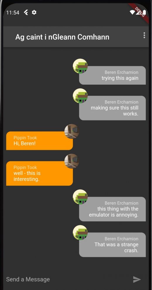 Caint - A Private Chat App
