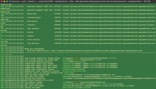 Ethereum Startup Output