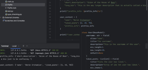 Python Environment Configuration