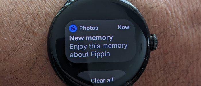 Google Watch Notifications