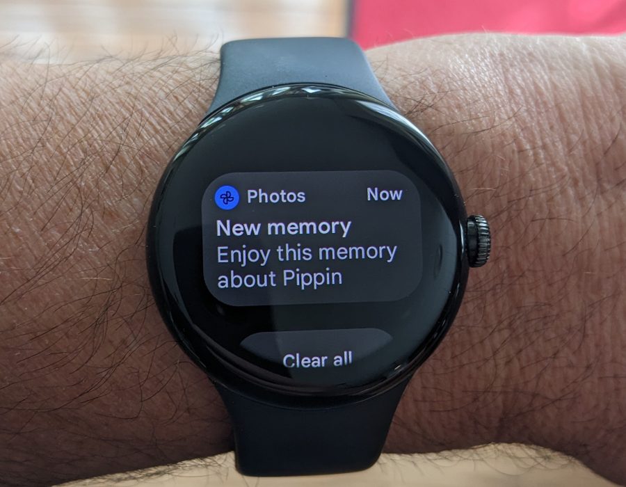 Google Watch Notifications